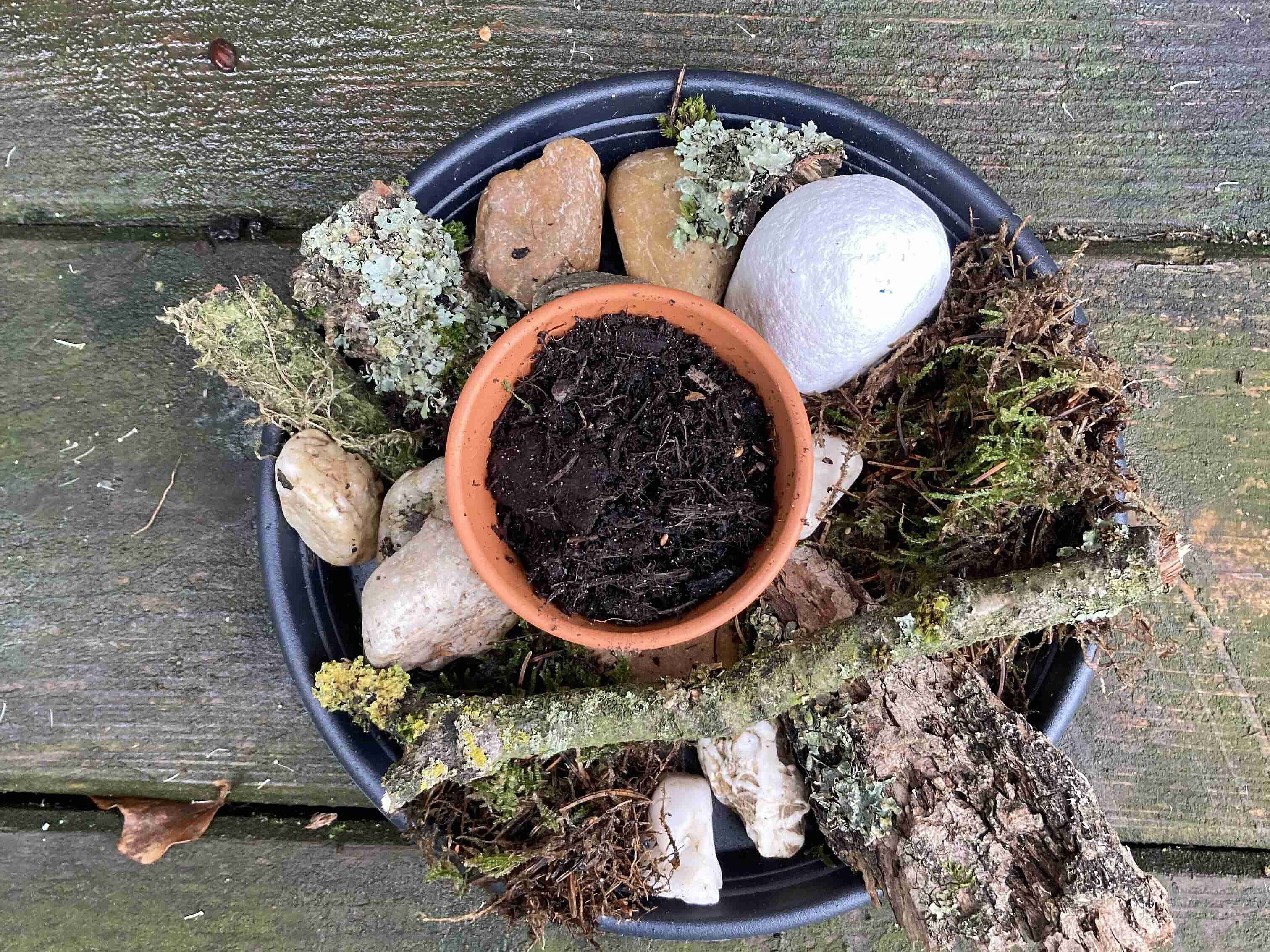 Eine selbst gebaute Insektentränke mit Naturmaterialien