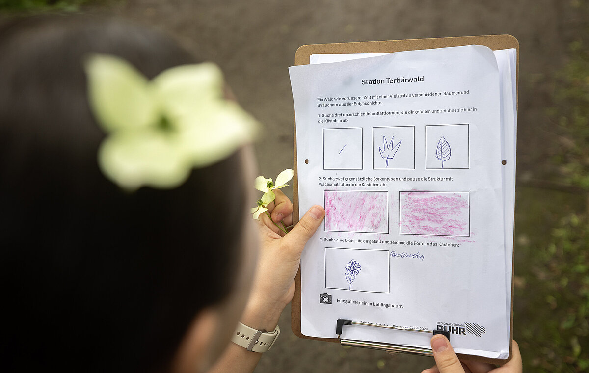 Ein Mädchen füllt ein Quiz zum Gehölzgarten aus