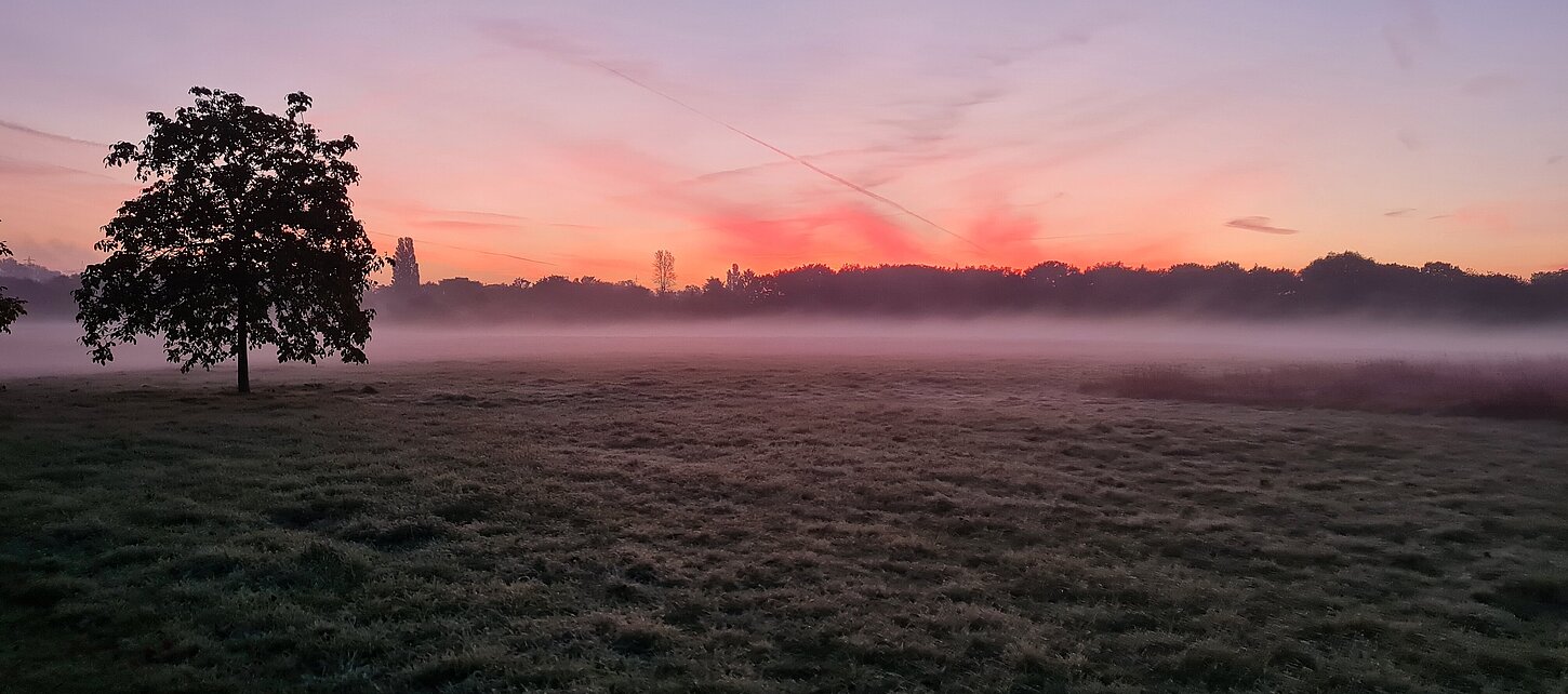 Die Umgebung von Haus Ripshorst im nebeligen Sonnenaufgang