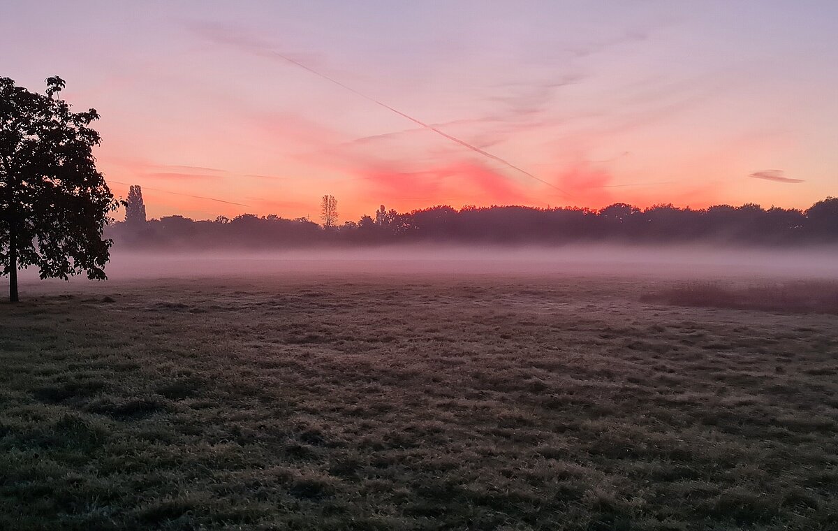 Die Umgebung von Haus Ripshorst im nebeligen Sonnenaufgang