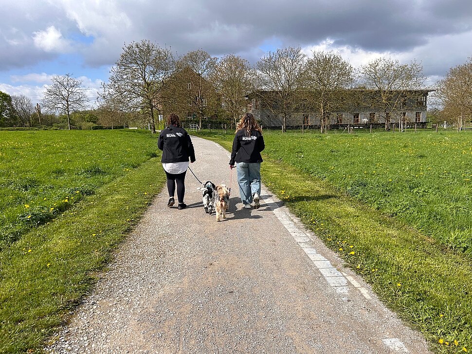Zwei Personen laufen mit ihren Hunden Richtung Haus Ripshorst