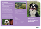 Mit dem Hund im Gehölzgarten Ripshorst