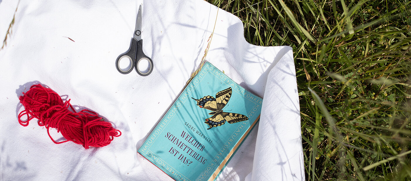 Bindfaden, Schere und ein Buch über Schmetterlinge liegt auf einer Wiese