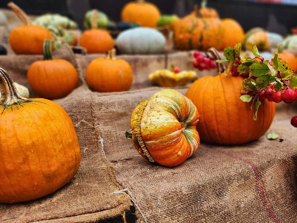 Viele Kürbisse stehen auf einer Treppe.