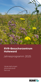 Jahresprogramm Hoheward 2025