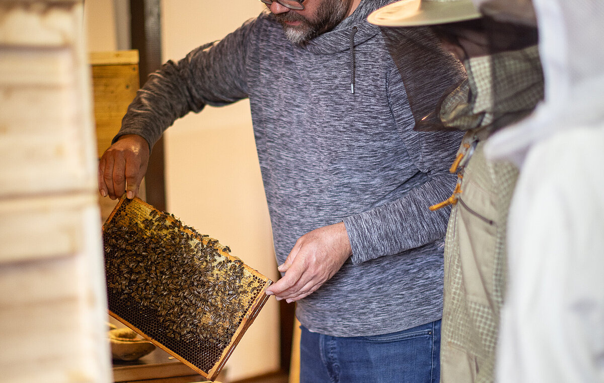 Zu Besuch im Bienenhaus beim Imker Matthias Kleinöder. 