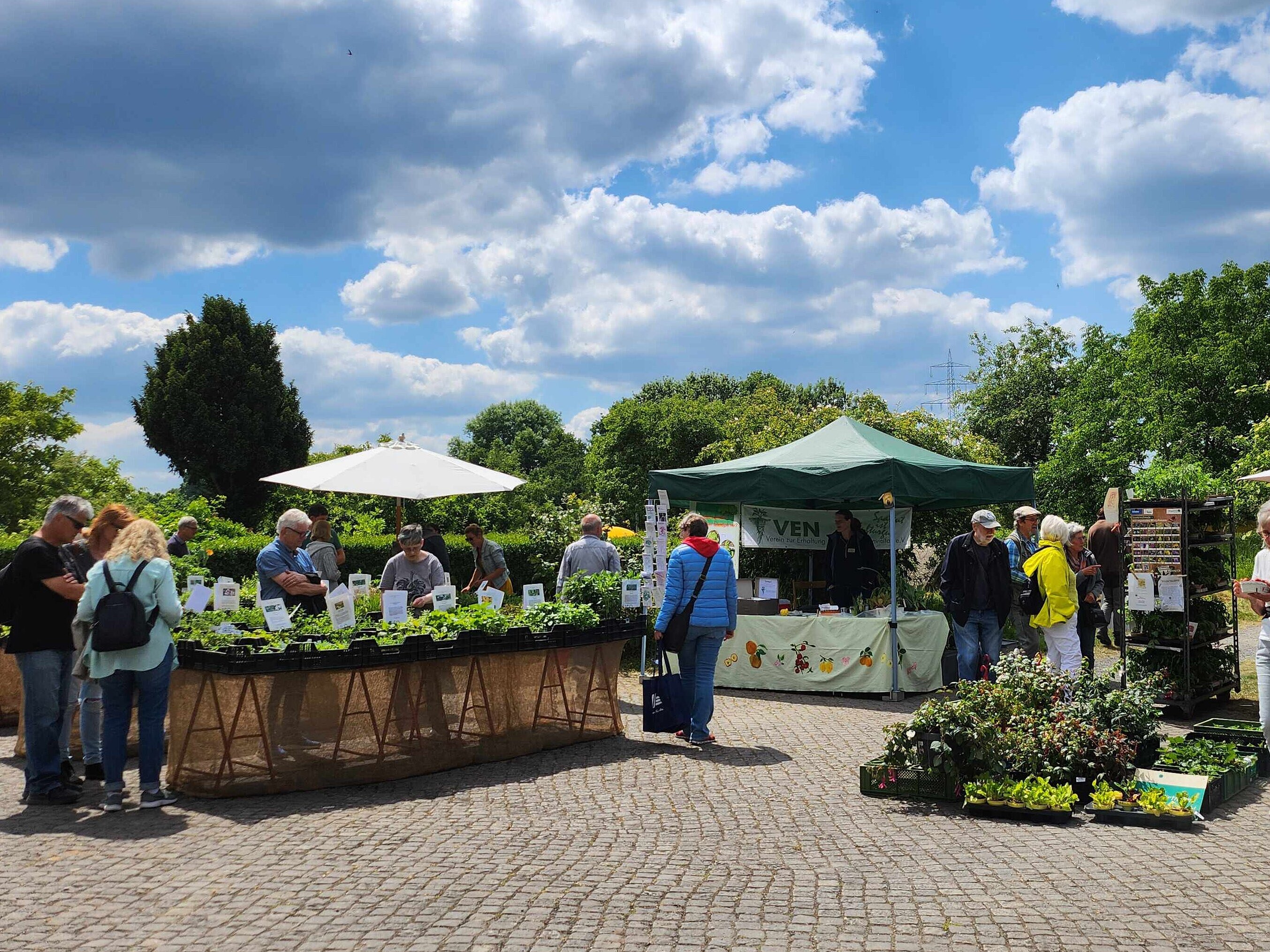 Ausstellende und Gäste beim Naturgartentag am Haus Ripshorst