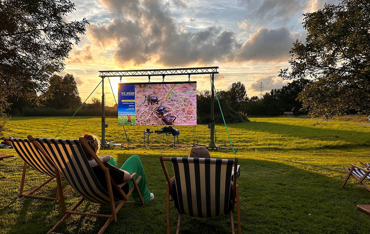 Zwei Liegestühle im Vordergrund. Darauf sitzen zwei Personen und schauen auf einer großen Leinwand einen Film auf einer Wiese.