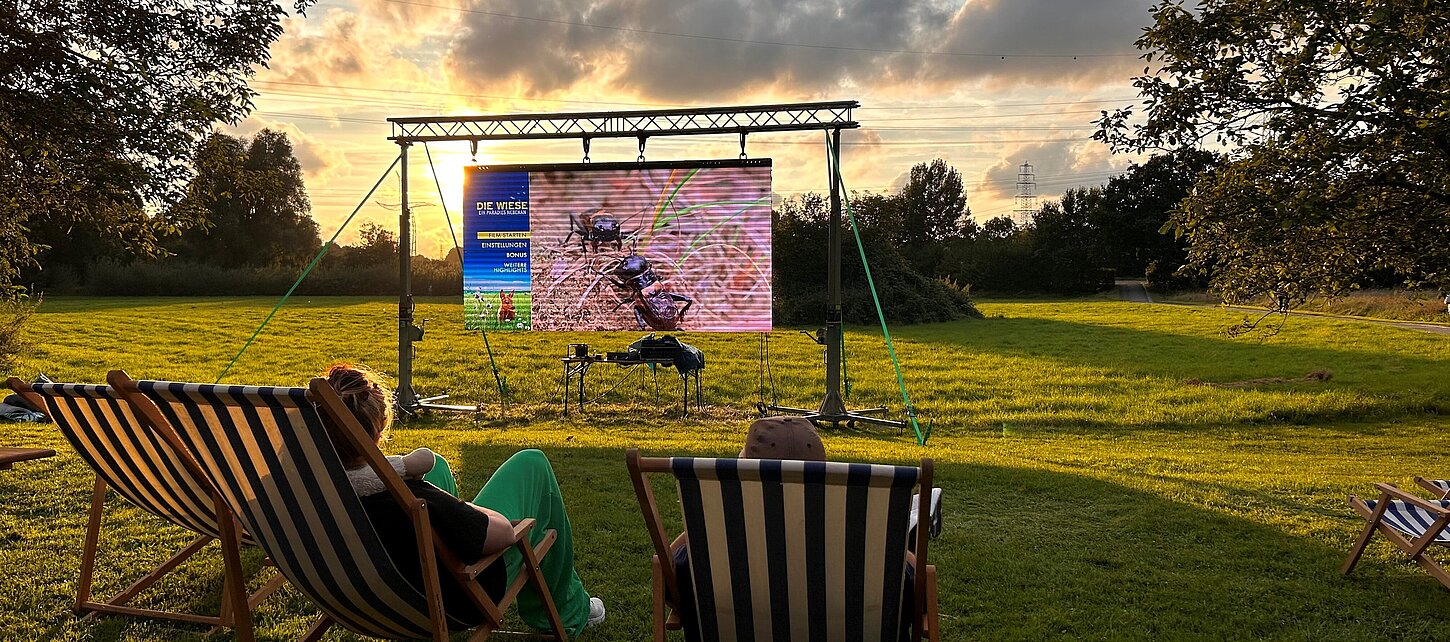 Zwei Liegestühle im Vordergrund. Darauf sitzen zwei Personen und schauen auf einer großen Leinwand einen Film auf einer Wiese.