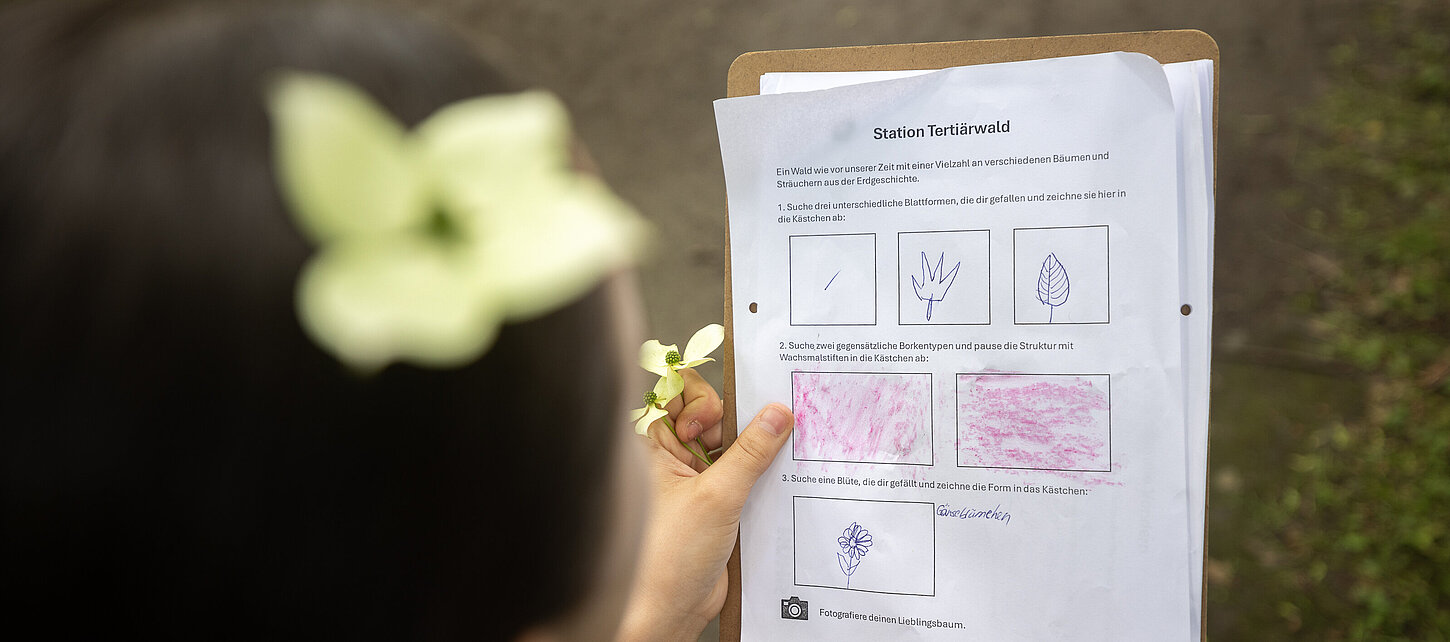 Ein Mädchen füllt ein Quiz zum Gehölzgarten aus