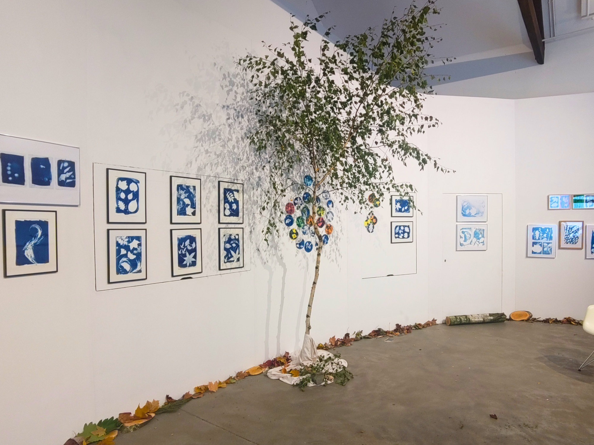 Galerie mit einem Baum und Bildern.