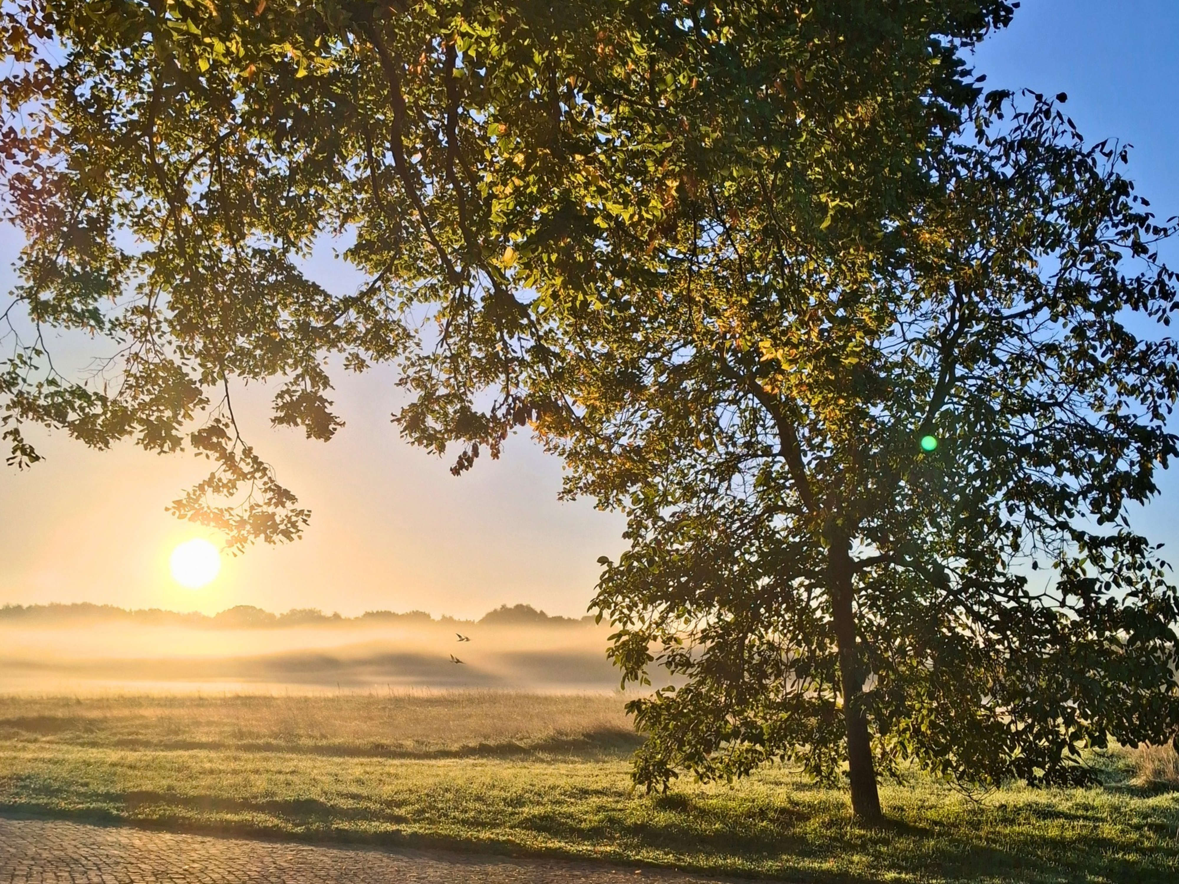 Sonnenaufgang im Herbst am Haus Ripshorst