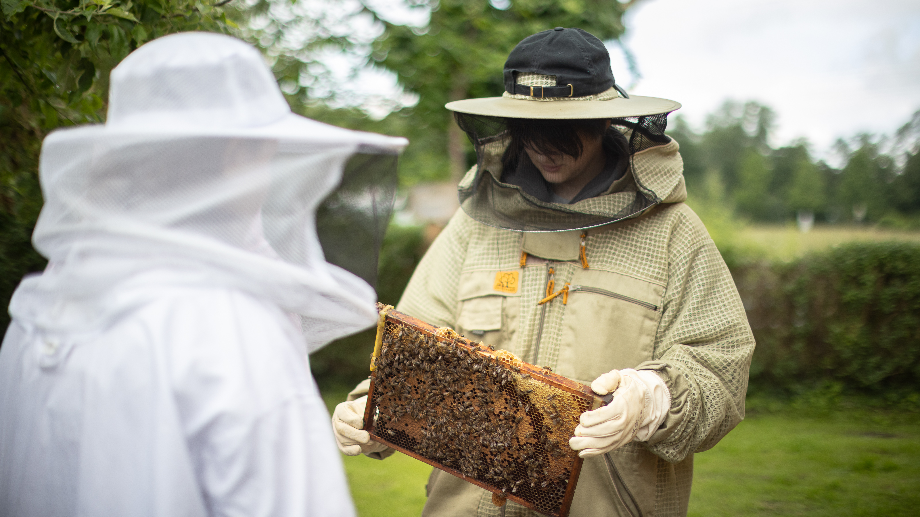 Schulprojekttag auf Haus Ripshorst Eine Person in Schutzkleidung hält ein Rähmchen mit Bienen in der Hand fest, eine andere Person schaut es sich an