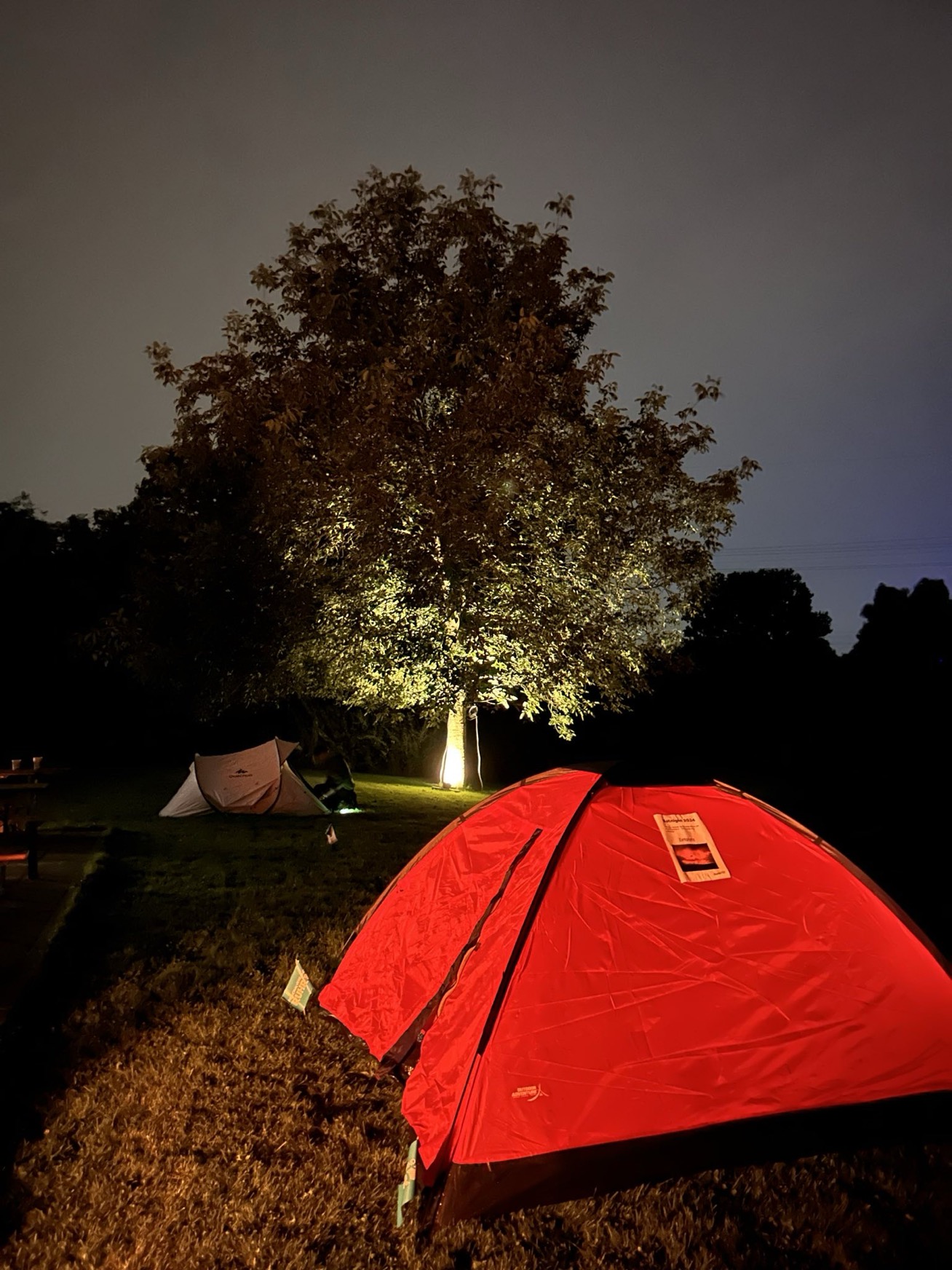 Ein rotes Zelt steht nachts vor einem beleuchteten Baum.