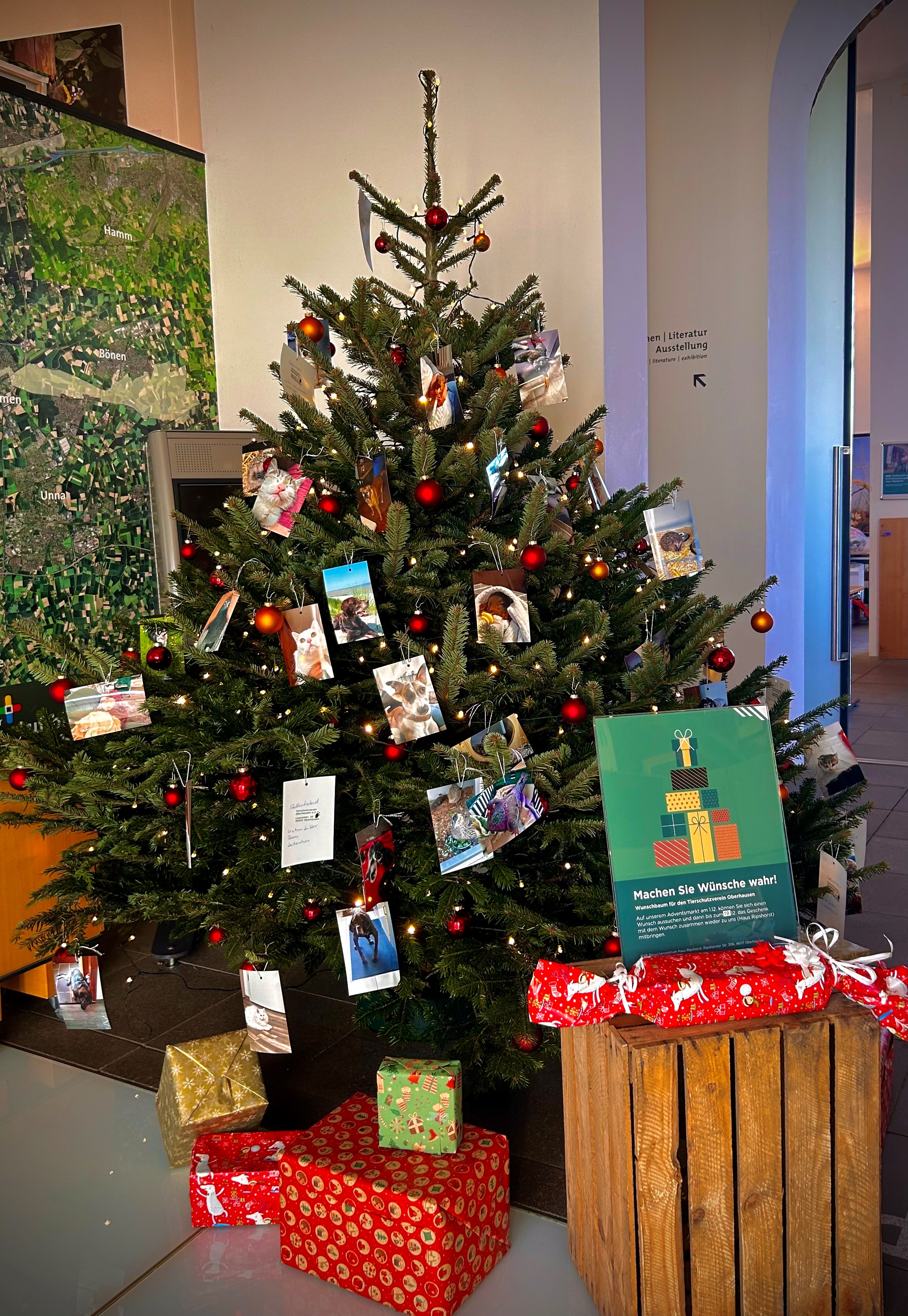 Ein mit Wunschkarten geschmückter Weihnachtsbaum.