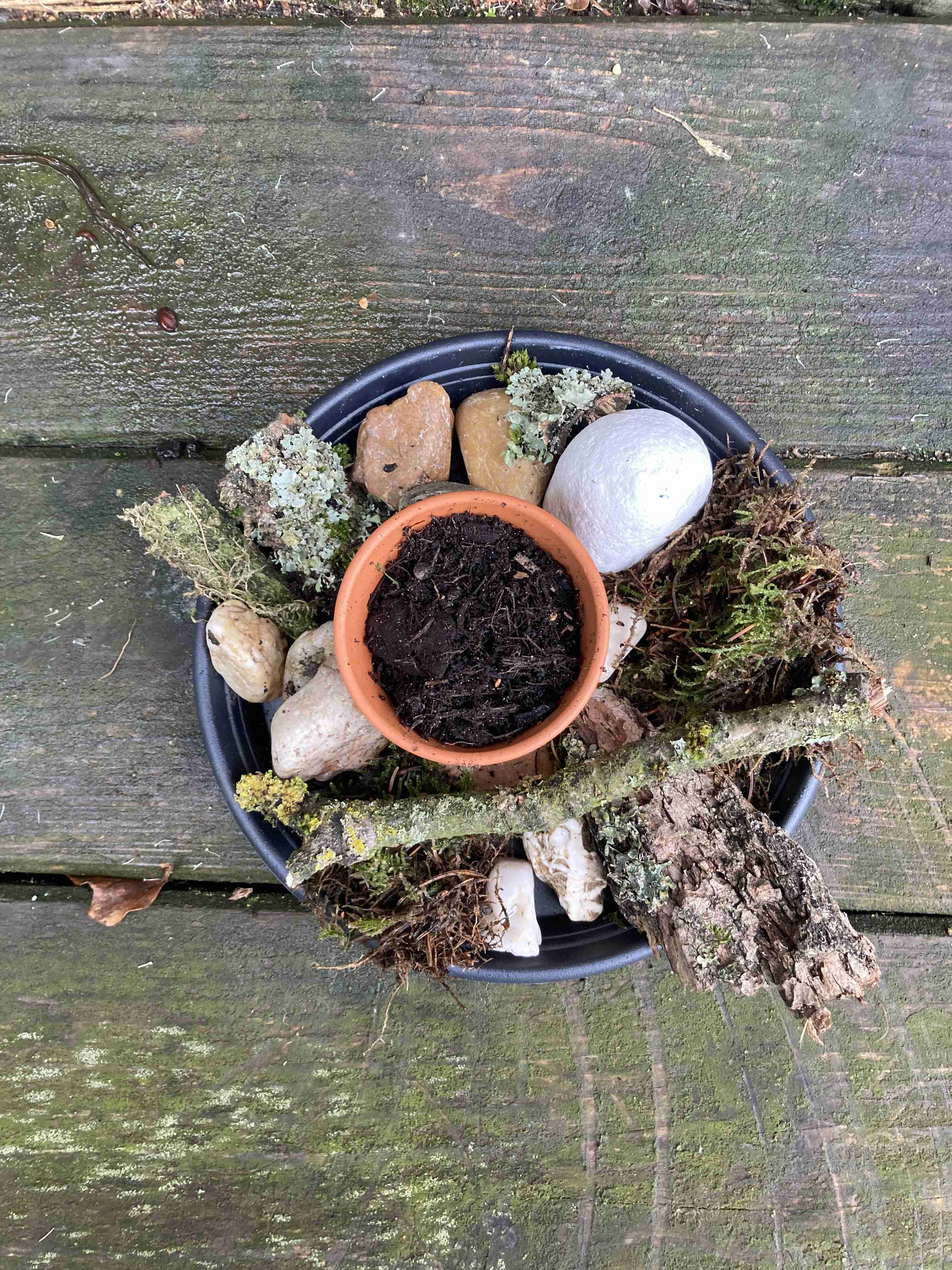 Insektentränke Eine selbst gebaute Insektentränke mit Naturmaterialien