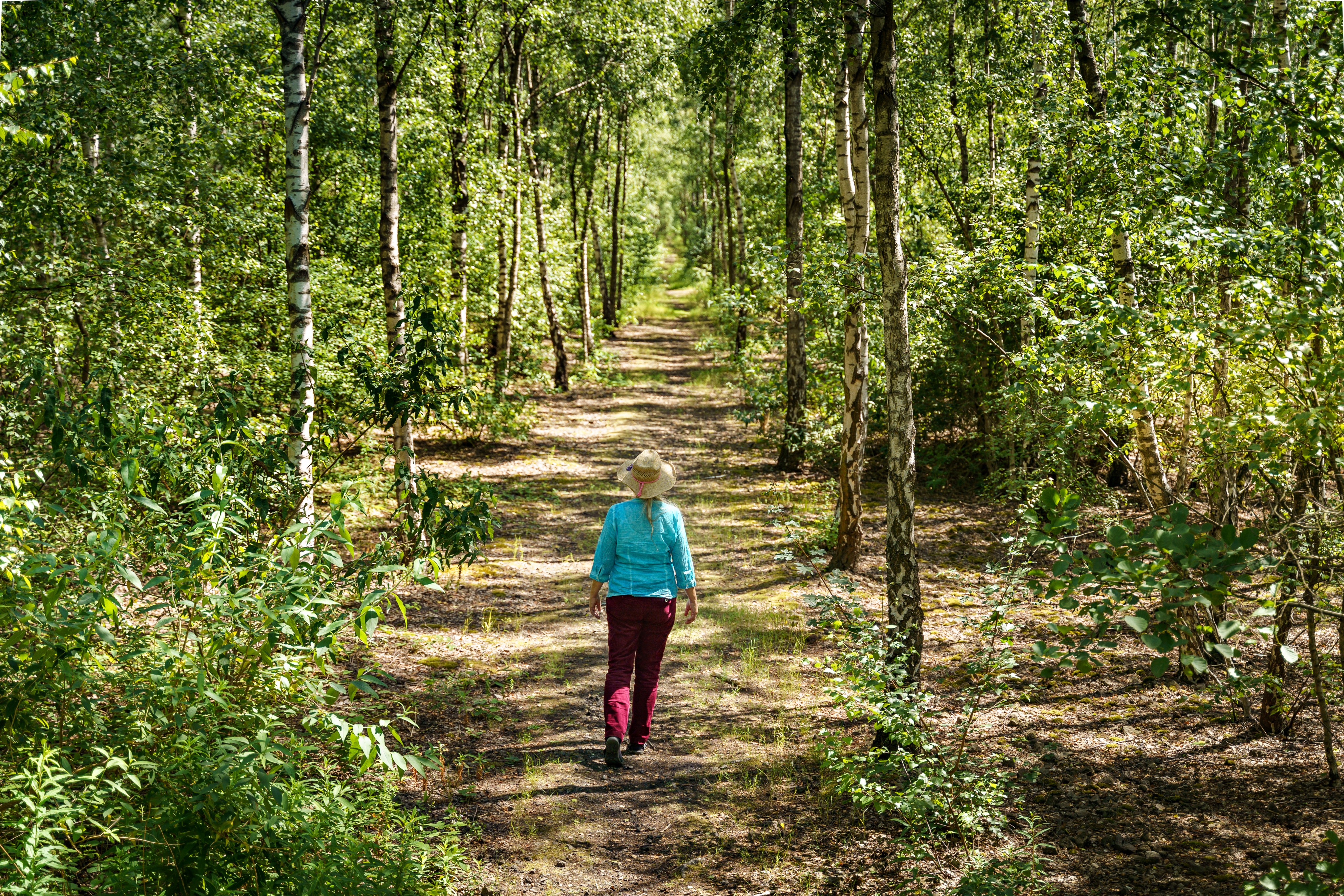 Eine Person läuft über einen Waldweg umgeben von Bäumen.