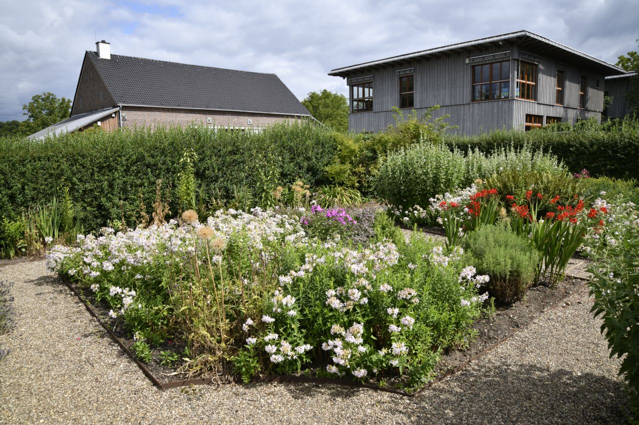 Bunte Blumen verzieren einen Bauerngarten Bunte Blumen verzieren einen Bauerngarten
